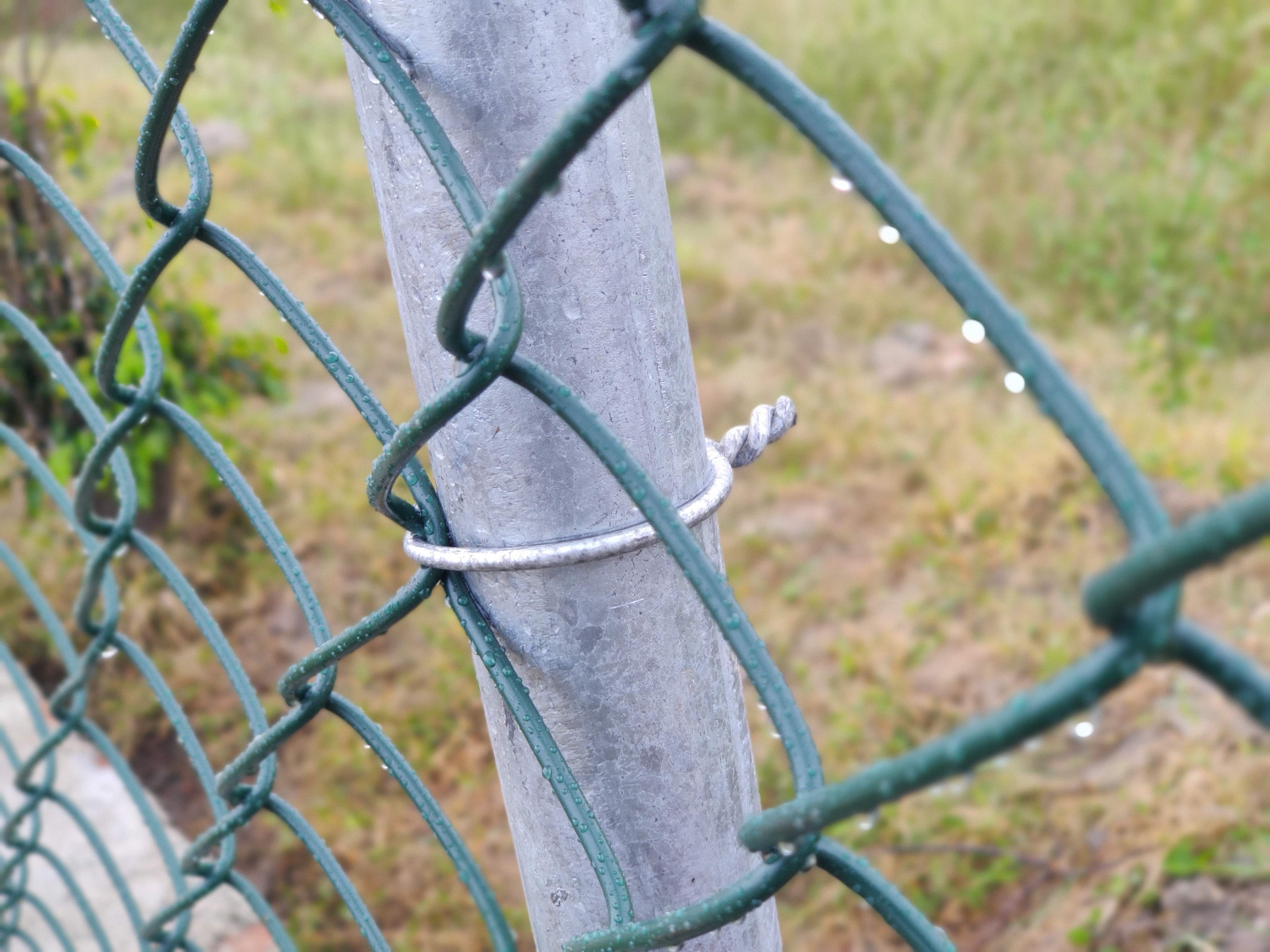 chain link fence green